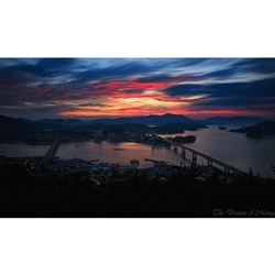 dailyPhoto14